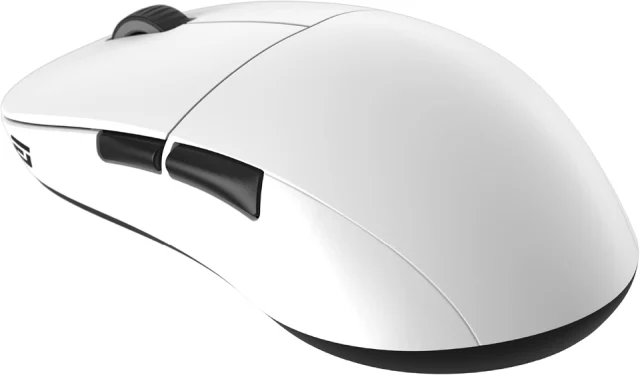 Endgame Gear XM2we Wireless