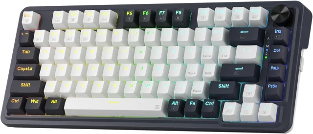 Redragon K673 PRO Wireless 81-Key Gasket