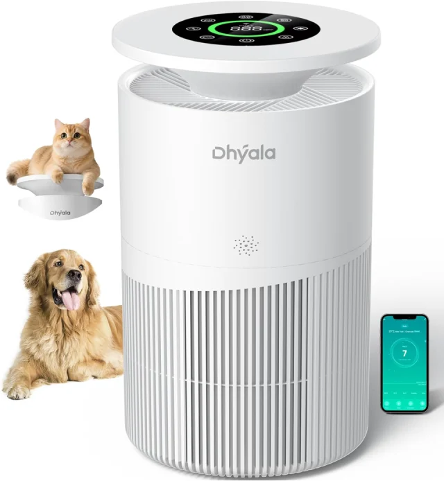 Dhyala KJ02 Air Purifier