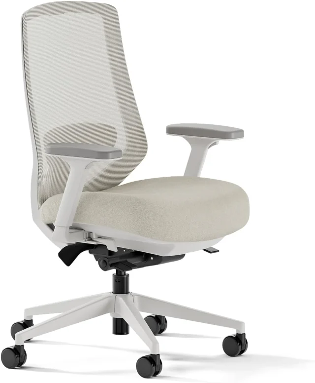 Branch Ergonomic Chair Pro